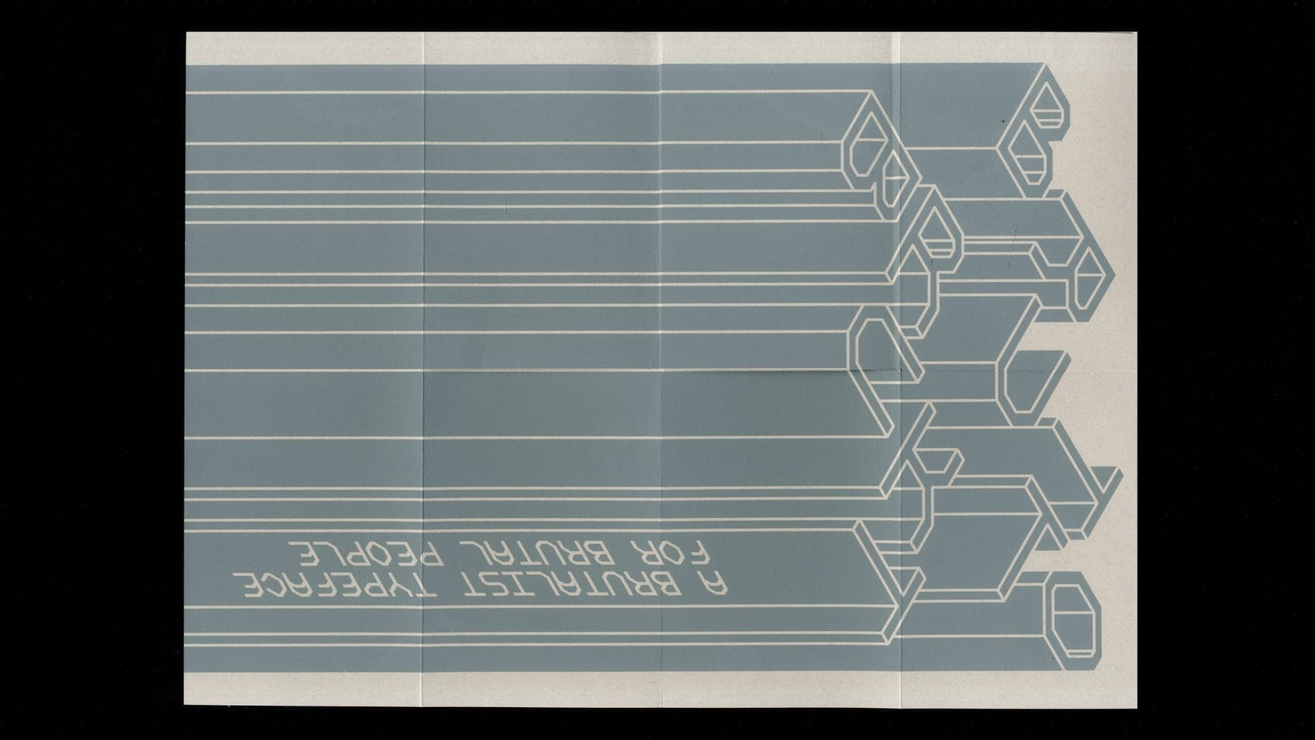 Brutto Brukt — Type specimen - 2