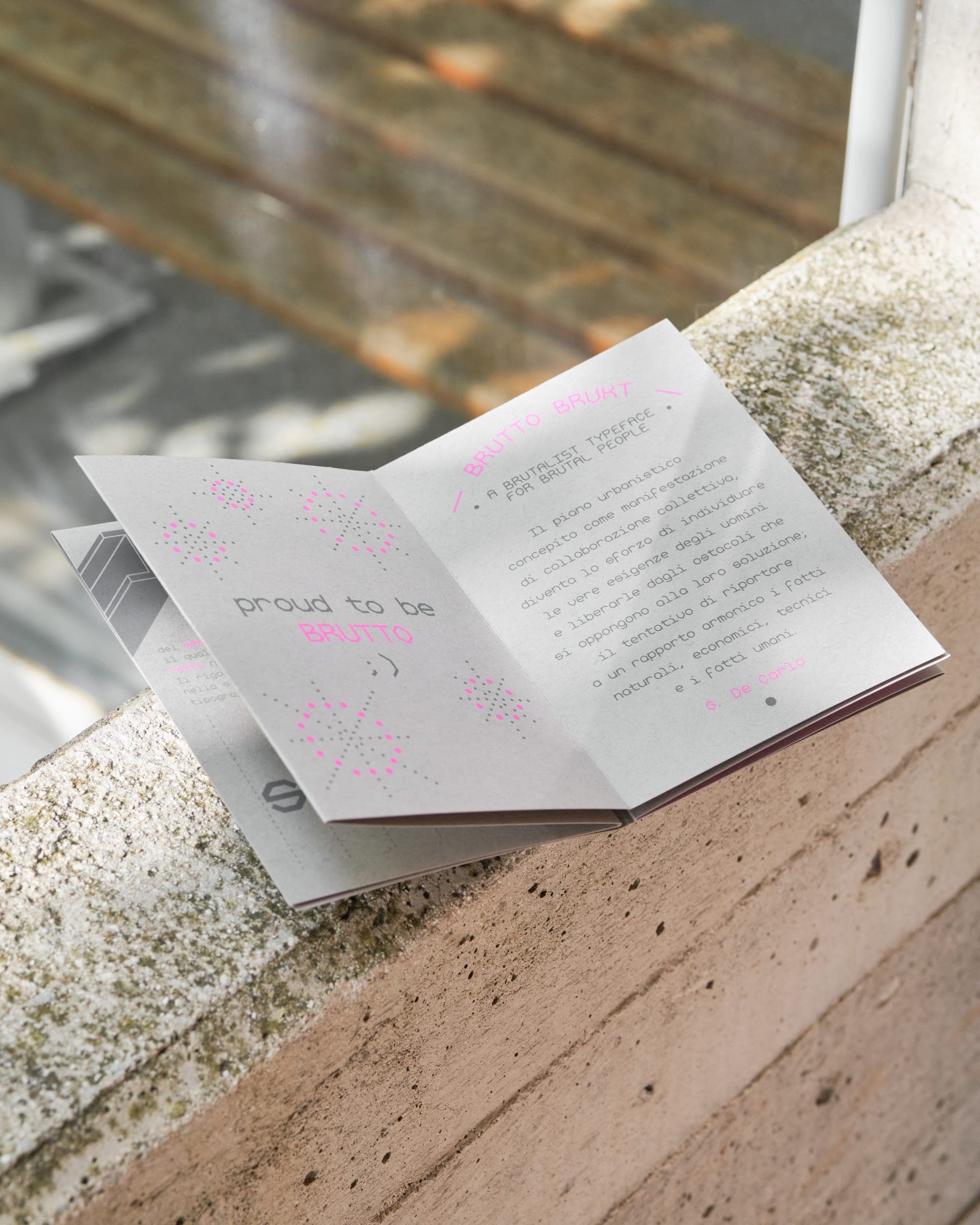 Brutto Brukt — Type specimen - 6